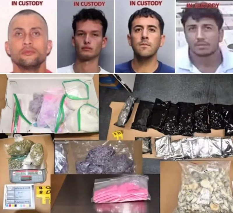Miami Beach Drug Trafficking Network Dismantled
