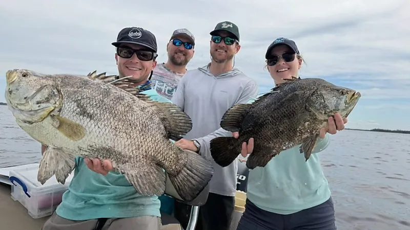 Tampa researchers use fish tagging to fill data gaps on cobia, tripletail