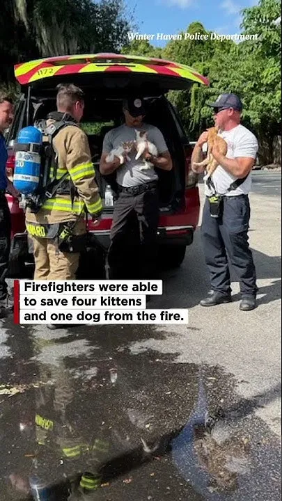 4 kittens, 1 dog rescued, 5 people displaced from Winter Haven apartment fire (Video)