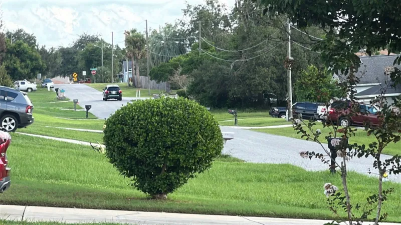 Resident says Cooper Drive in Deltona feels unsafe for walking without sidewalks