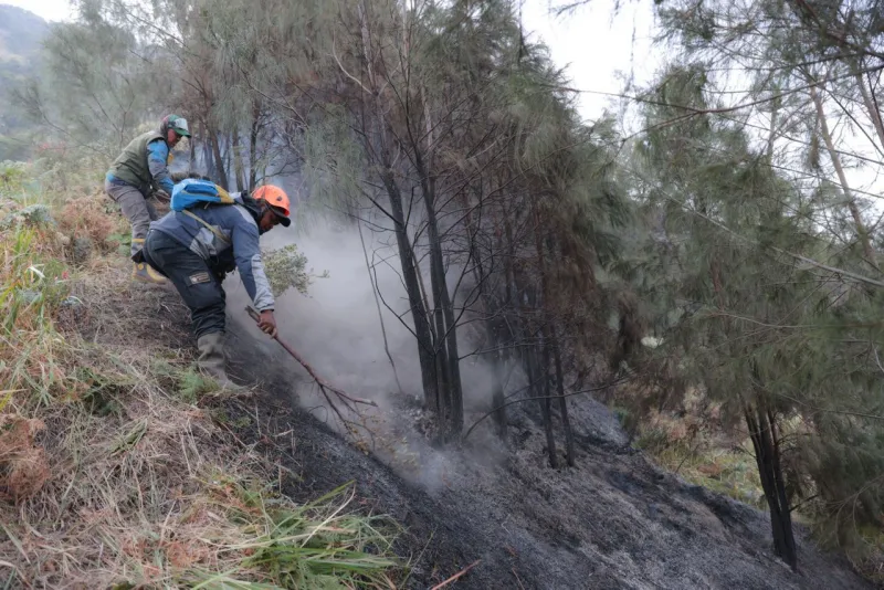 Singapore expands crackdown on Indonesian companies linked to haze