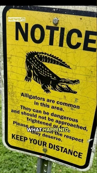 New details in fatal alligator attack in Winter Garden (Video)