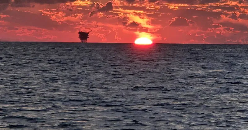Life in the deep Gulf plummeted after Deepwater Horizon
