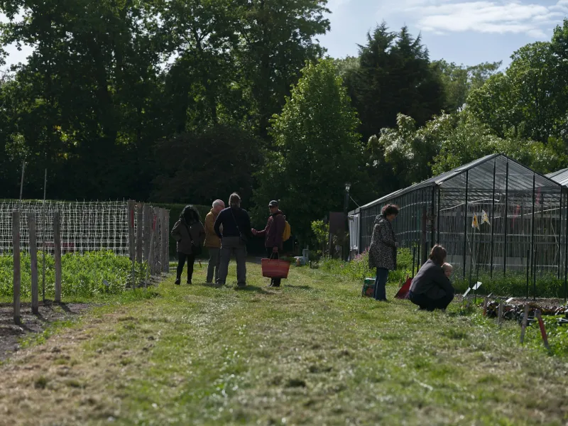 Extension offers November classes on housing and gardening