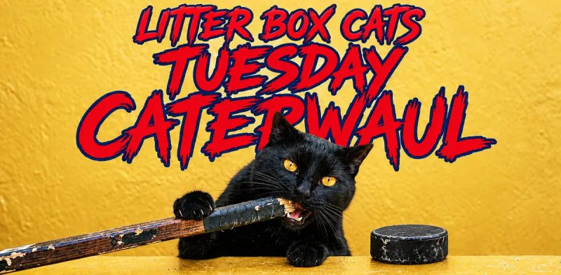 Tuesday Caterwaul: Florida Panthers Open Forum