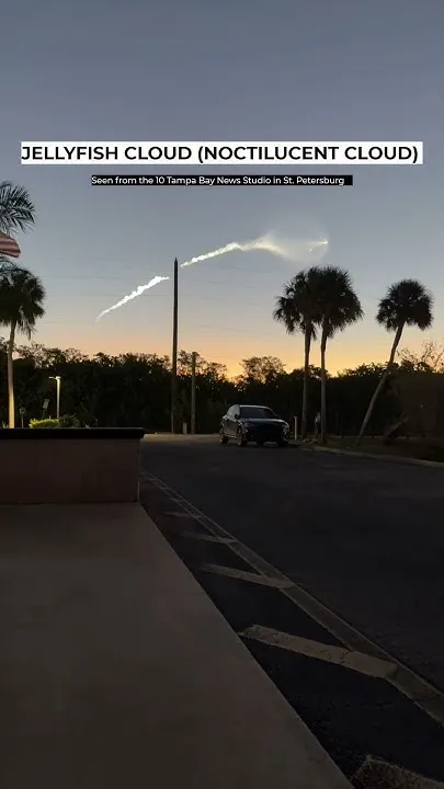 Jellyfish Cloud over 10TB (Video)