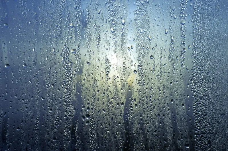 Winter forecast calls for continued El Nio influence