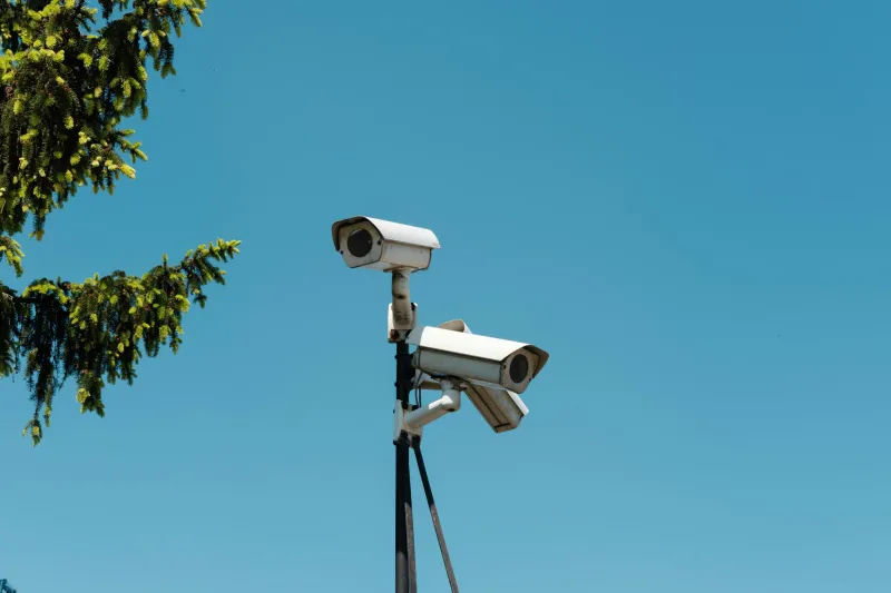 OPINION: "1984's" Big Brother rebranded to Flock