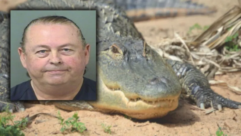 Dead alligator found with hammer in forehead, Jupiter man arrested