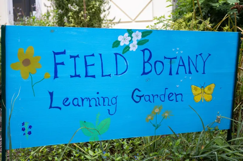 New learning garden will help students identify plants in Field Botany course