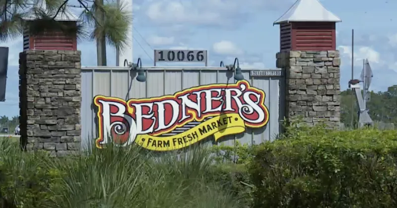 A pumpkin wonderland in the Florida sunshine: Inside the fall fun at Bedner's Farm