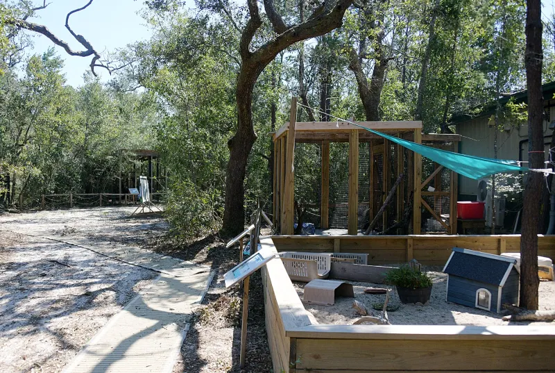 Emerald Coast Wildlife Refuge recovering after hurricane wrecks fall plans
