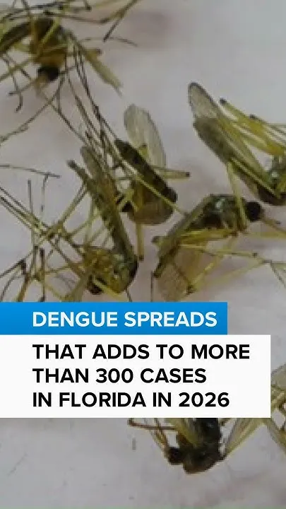 Dengue hits Citrus County (Video)