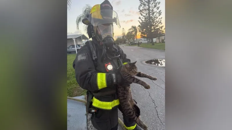 St. Lucie County firefighters respond to 2 structure fires, rescue cat