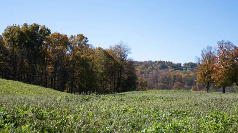 New York State awards $48 million to farms to protect farmland