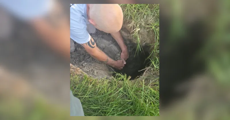 Dog trapped in sinkhole saved by fire rescue crews in Florida: CFD