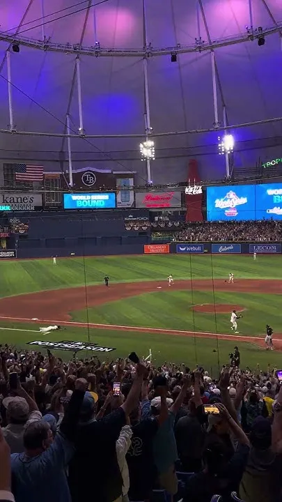 The Tampa Bay Rays are headed to the World Series (Video)