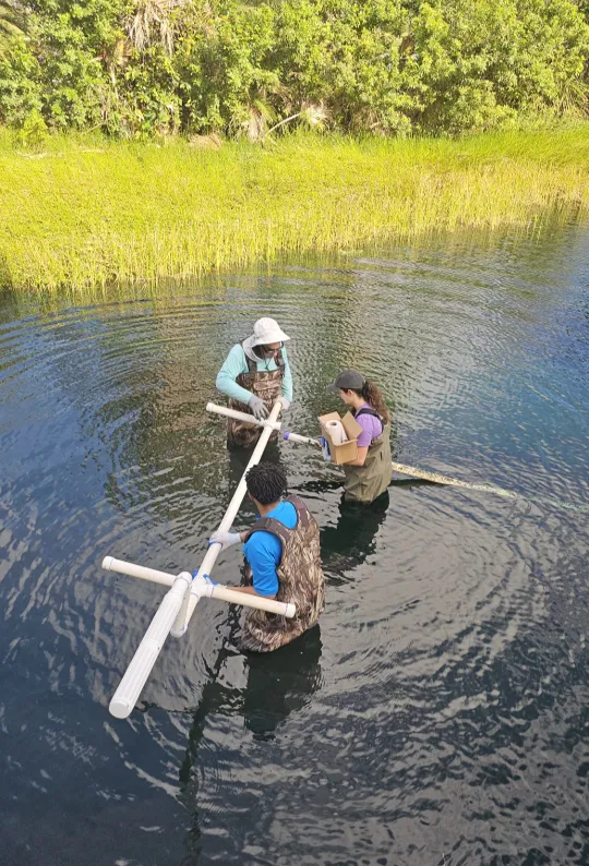 FAU is making waves in environmental research