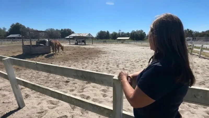 Pasco ranch founder, families asking county commissioners for help to pave Matis Road
