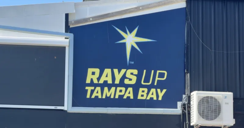 St. Pete community reacts to Tampa Bay Rays making it to World Series