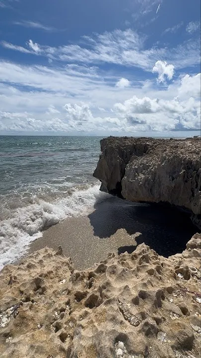 The Ancient Rock Coastline of Florida (Video)