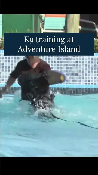 K9 training at local waterpark (Video)