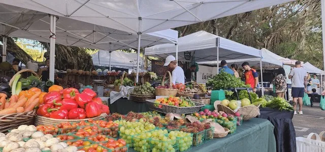 Where Sundays Come Alive: Inside the Pinecrest Farmers Market