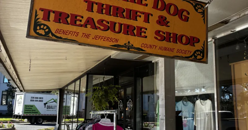 Monticello thrift store offers budget-friendly Halloween costumes while supporting shelter animals
