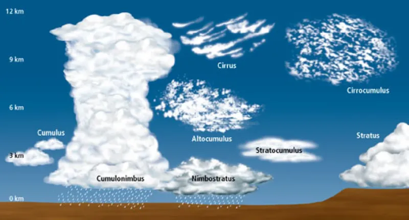What the clouds can tell you about the forecast