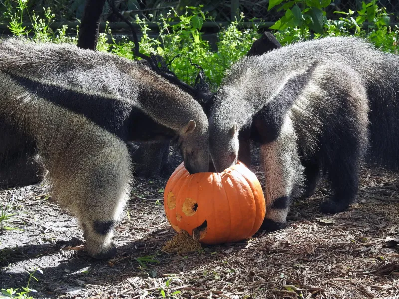 The best things to do with family in Miami in October