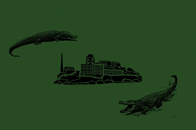'Calming Areas': The ethics behind outdoor cages in Alligator Alcatraz