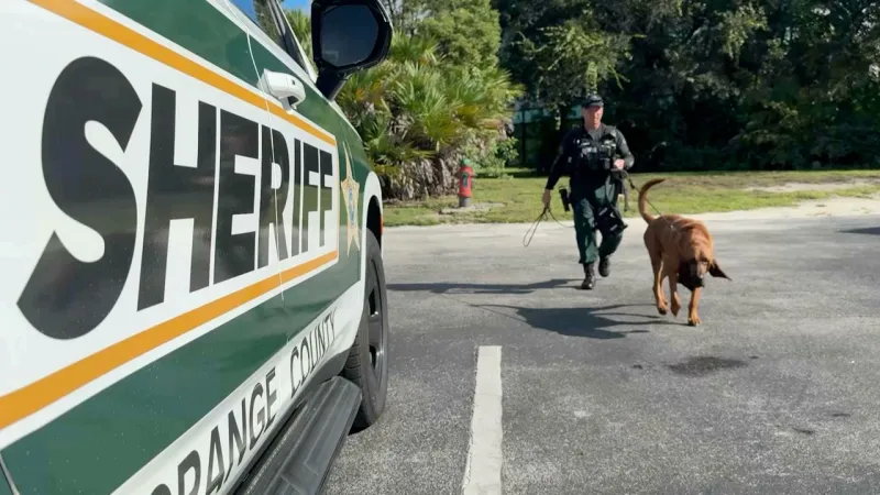 Orlando nonprofit provides bloodhounds to agencies to help find missing people