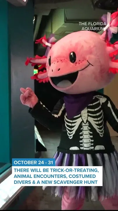 Guppyween Returns to The Florida Aquarium (Video)