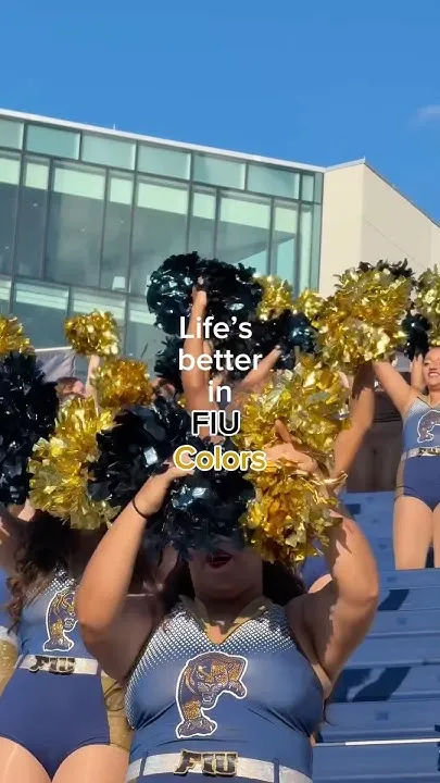 Life just looks better in blue & gold  (Video)
