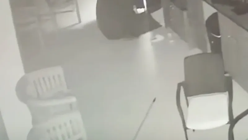Bear steals alcoholic drink from Florida home