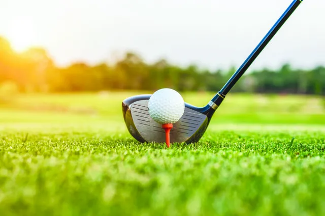 Richmond Hill boys climb to ninth at state golf finals