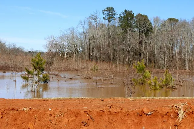 Forsyth County under Flood Watch amid rainy Memorial Day weekend