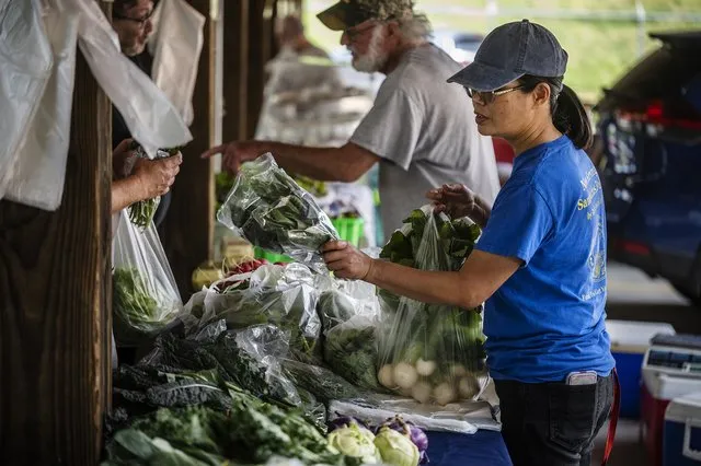 Hall County Farmers Market returns for 53rd season with a fresh start