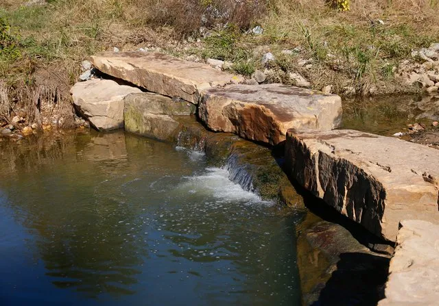 What caused 541,000-gallon sewer spill at Gainesville treatment plant