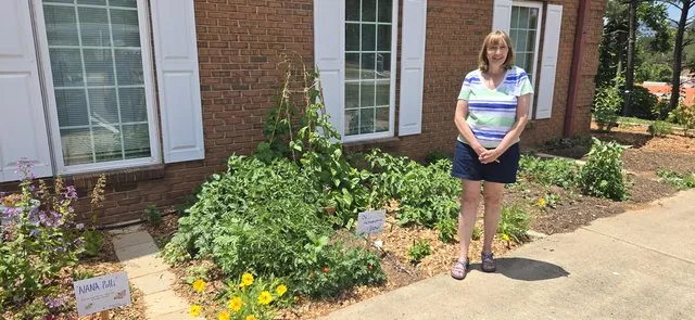 These Hall County gardeners had a $100 budget and big ideas. Now the public can judge for themselves