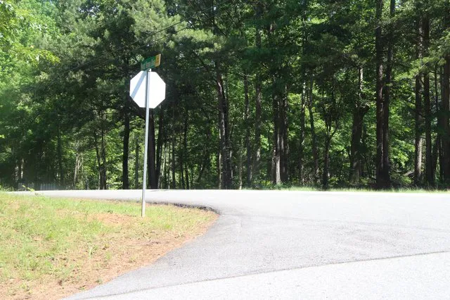 NTSB: Helicopter struck tall trees before crashing in Dawson County woods, killing two