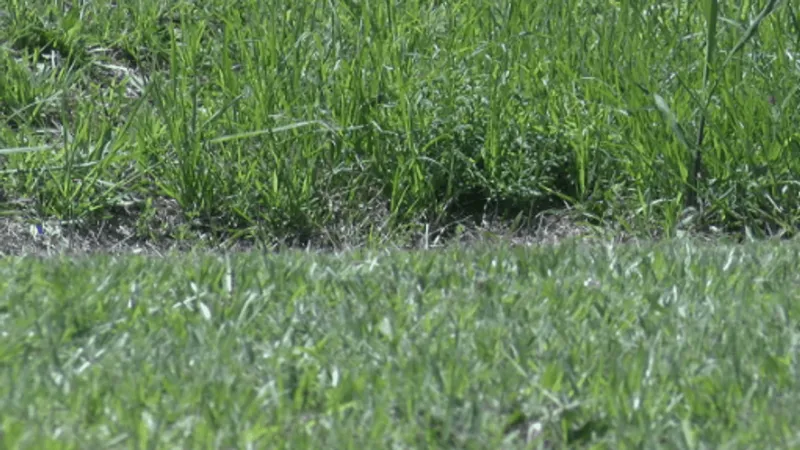 $4.4 million South Bibb sewer upgrade aims to keep pace with industrial growth