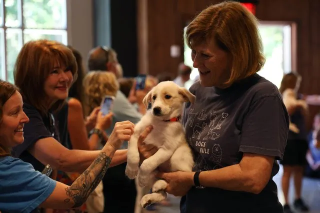 Tails wag as Furkids opens new dog shelter in Forsyth County