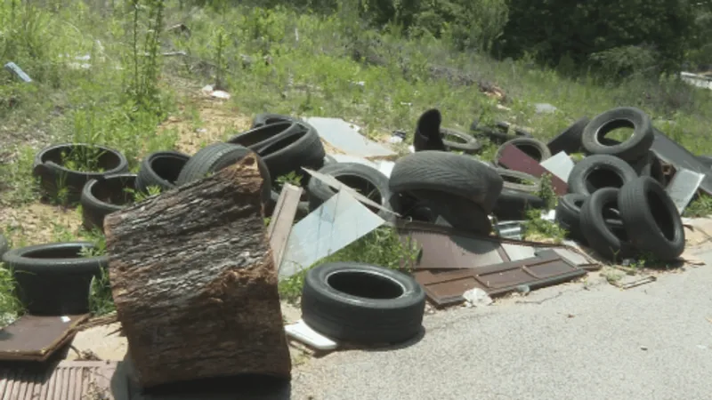 South Macon residents urge cameras as tires, beds and TVs are dumped on Buena Vista Ave
