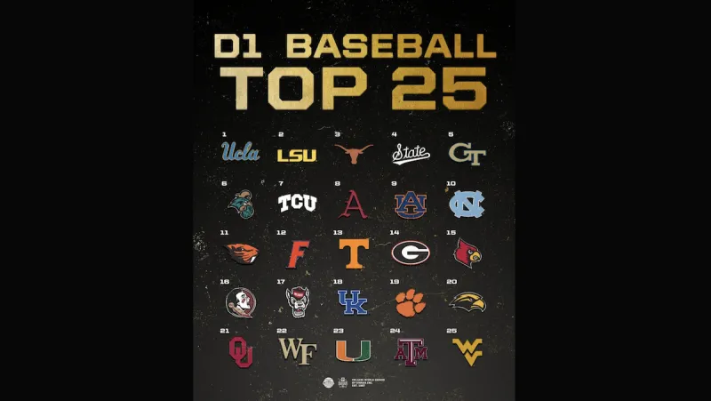 Breaking down the teams in the College World Series