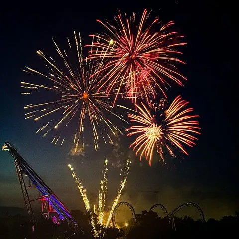 Wild Adventures offering free admission to military