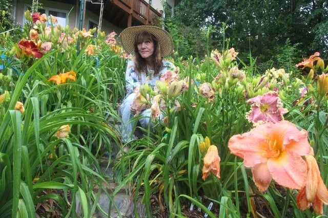 Dawson's Jungle Paradise Daylilies celebrates three decades in business
