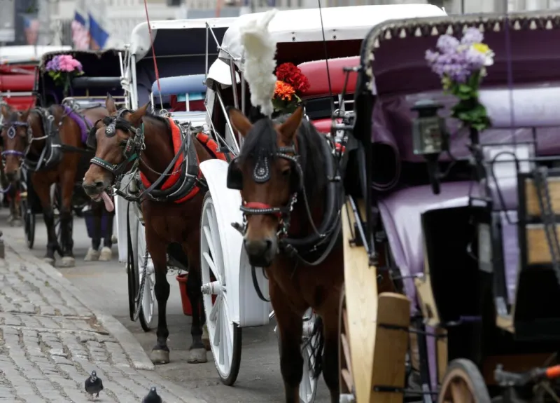 Teenager dies after being thrown from horse-drawn carriage in NYC's Central Park