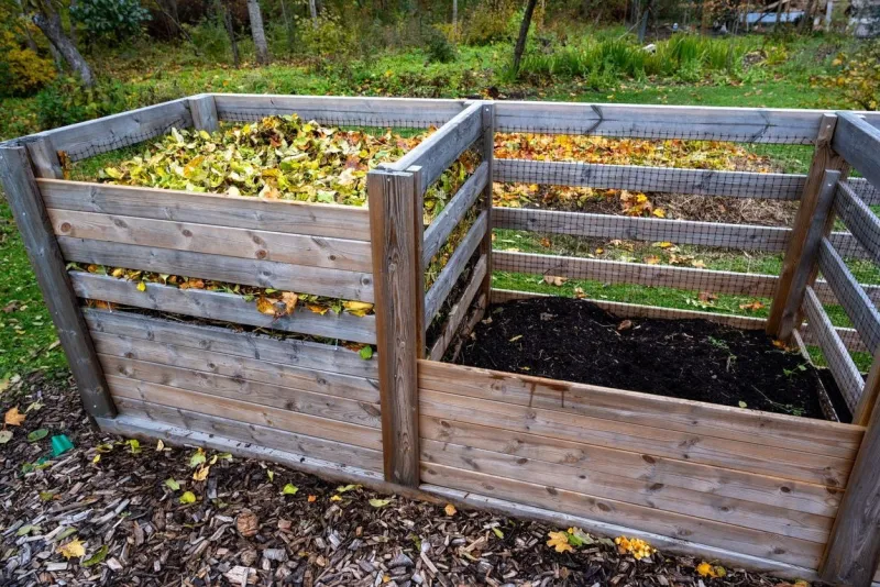 Do's and don'ts of composting: A simple guide for beginners