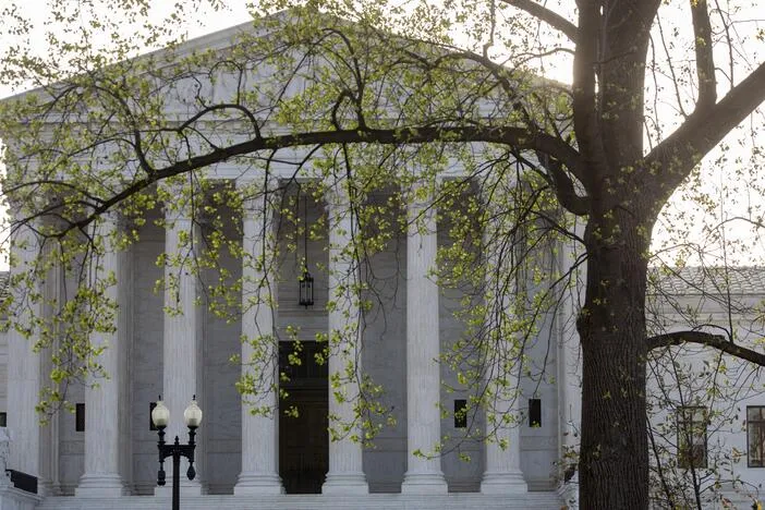 'They have nowhere to turn': Law students fight for workplace protections